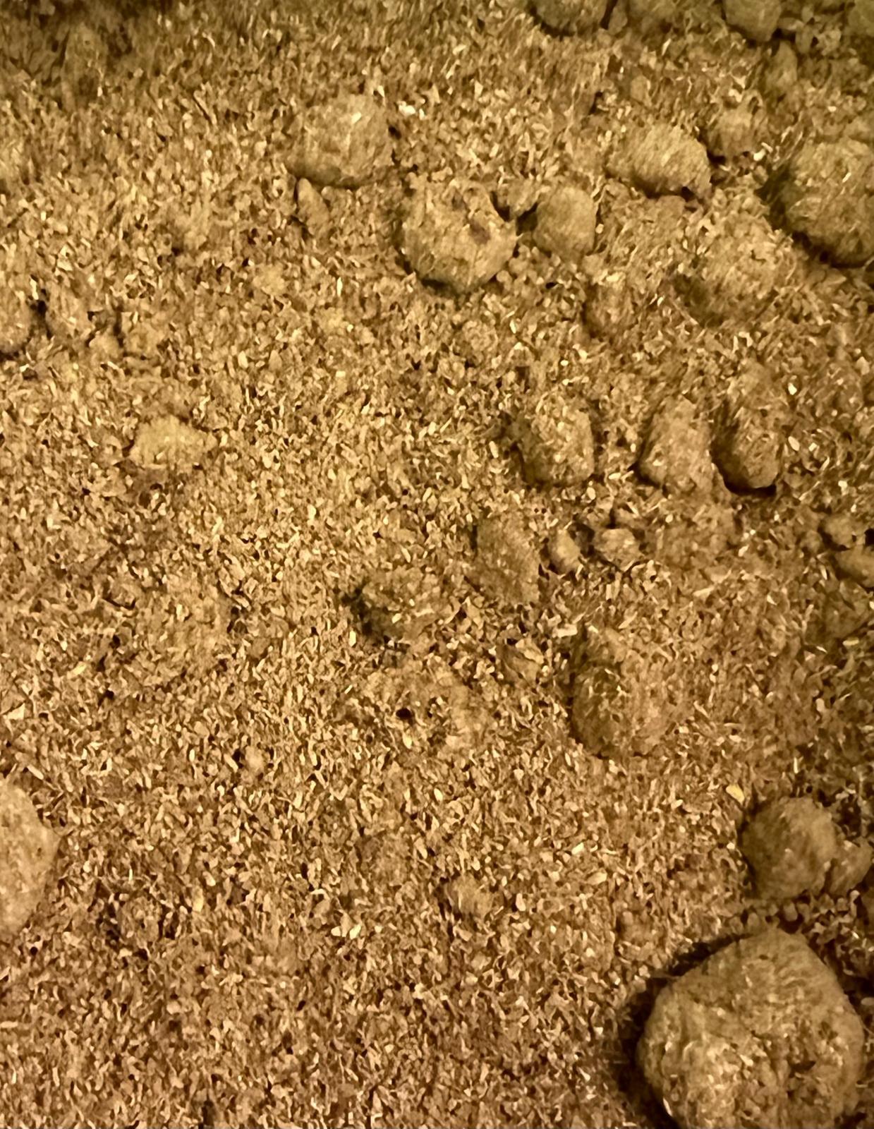 Palo Santo Peruano Molido x 50 g - Raw Incense