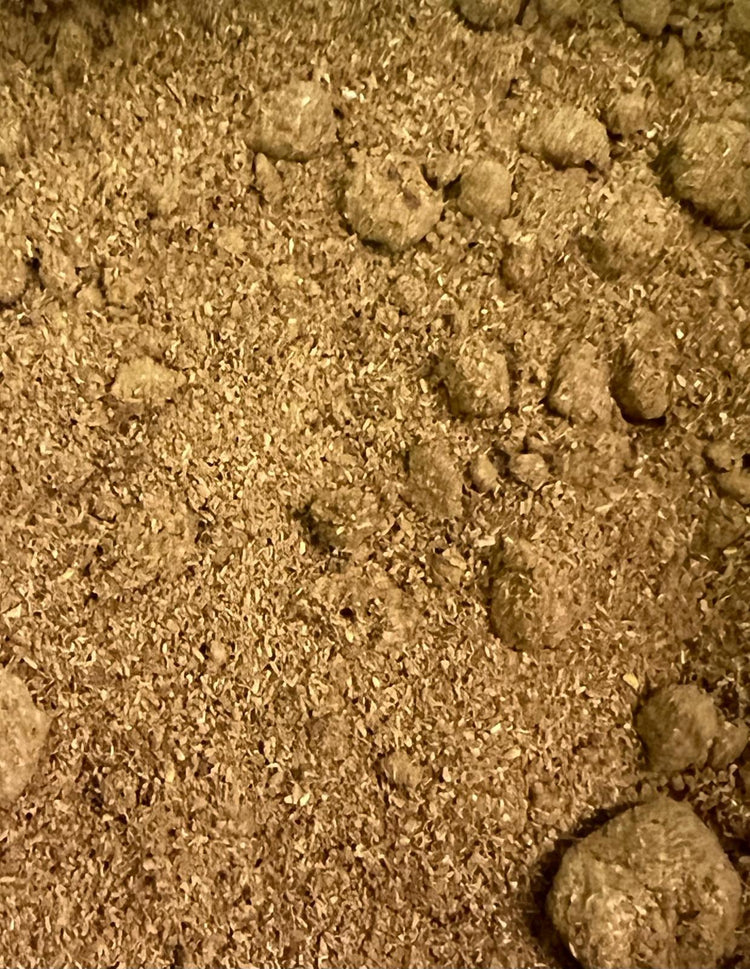 Raw Incense - Grupo Samaná